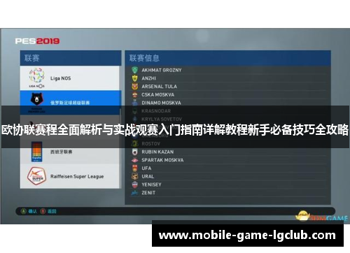 欧协联赛程全面解析与实战观赛入门指南详解教程新手必备技巧全攻略